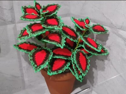 Crochet Coleus plant