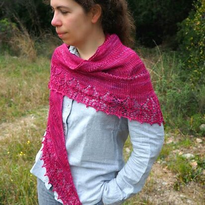 Edelwicke Shawl