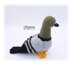 Pigeon Crochet Pattern