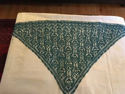 Connie's Mantilla Veil #4