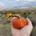 Little Knit Pumpkin Knitting Pattern