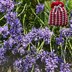 Textured Tweed Lavender Bag Knitting Pattern - Free Knitting Pattern.
