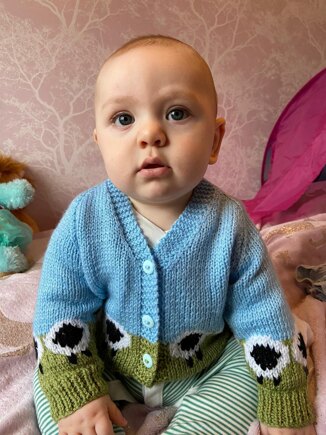 Sheep cardigan #6