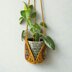 African Flower Plant Hanger