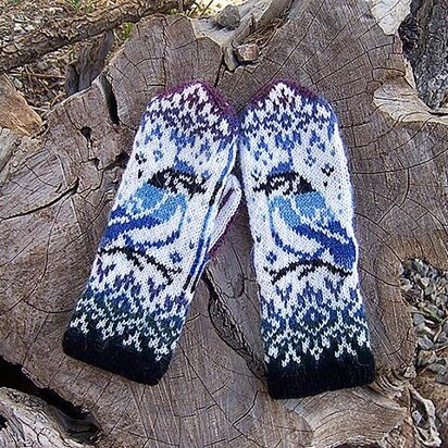 Blue Jay Mittens