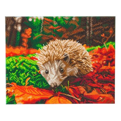 Crystal Art Hedgehog, 40x50cm Diamond Painting Kit