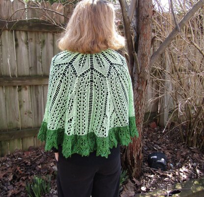 Bird Cage Shawl