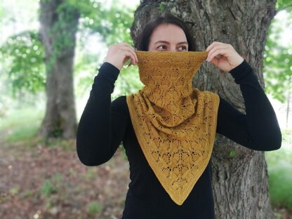 Acorn cowl