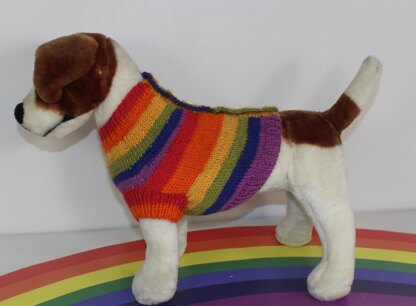 Small Dog Rainbow Back Button Up Dog Coat