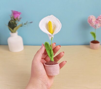 Calla Lily Flower