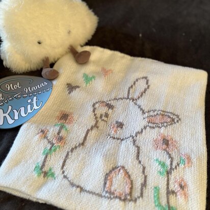 Baby Bunny Baby Blanket