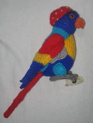 Toy Parrot – with pirate accessories