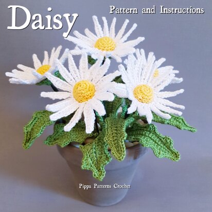 Daisy