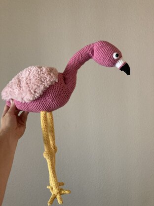 Flamingo for Lou!