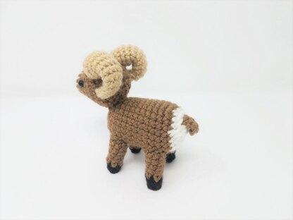 Bobby the Bighorn Sheep