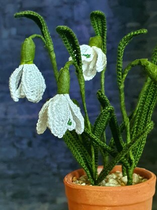 Snowdrops realistic flower