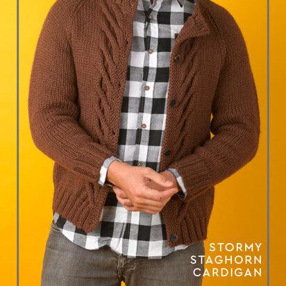 Stormy Staghorn Cardigan - Free Knitting Pattern For Men in Paintbox Yarns Wool Mix Aran