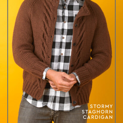 Paintbox Yarns Stormy Staghorn Cardigan PDF (Free)