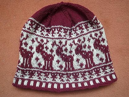 Elchi beanie