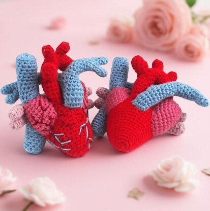 Anatomical Heart