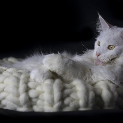 Giant Wool Kitty Bed - knitting pattern