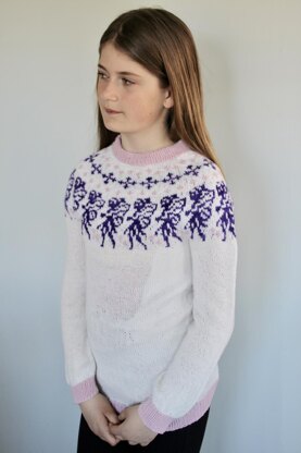 Fairy sweater