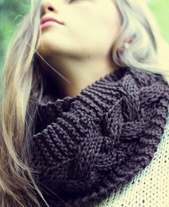 Reversible Braided Cowl