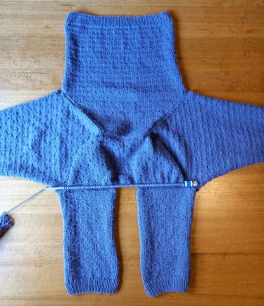 Dinosaur Hooded Jacket #5