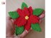 Poinsettia doily