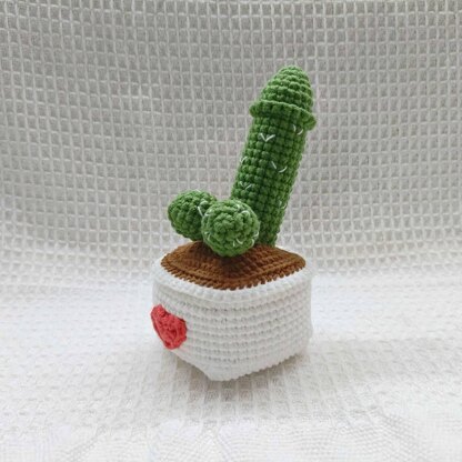Surprise Cactus crochet pattern, Funny crochet pattern,Easy Crochet Patterns for Beginners