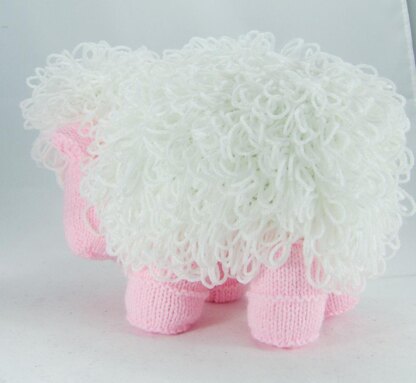 Curly The Sheep