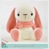 Easter Bunny Boy Girl Sad Rabbit Soft Toys Cuddly Bunny Crochet Amigurumi Pattern