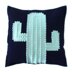 Cactus Cushion