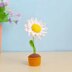 Daisy Flower