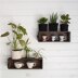 Project : 3 Plant Cozies