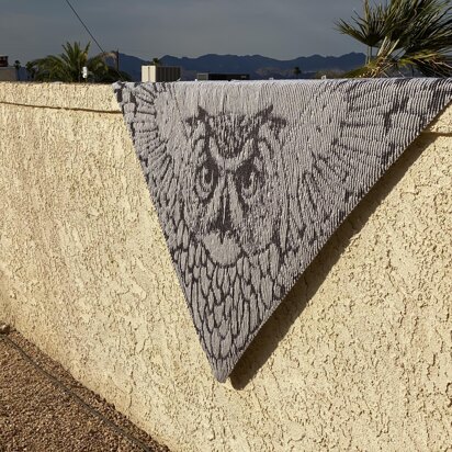 Snowy Owl Illusion Shawl