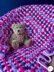 Bella’s Bobble Granny Square Blanket