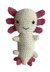 Axolotl