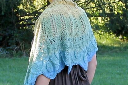 Rare Bird Shawl