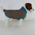 Chunky Stripe Garter Stitch Dog Coat