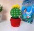 Cactus in a pot_5