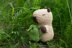 Capybara the Explorer