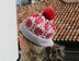 Cosmos Flowers Hat