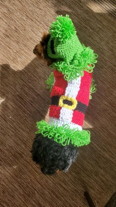 Grinch Inspired Dog Sweater