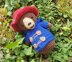 Paddington Bear