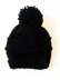 Black Swan Beanie