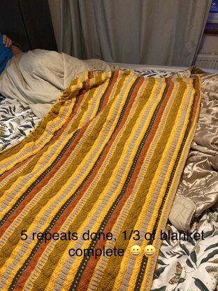 Bedroom Throw financed by the In-Laws Xmas gift