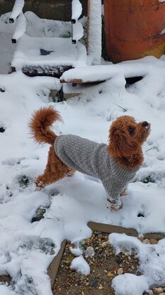 Dog Sweater Charlie No.3