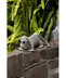 Woodland Animals Book by Patons - 3824