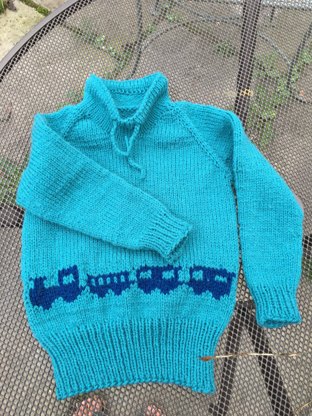 Max's jumper 2016